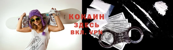 сатива Бронницы