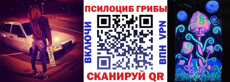 где купить наркотик Курильск Галлюциногенные грибы Magic Shrooms